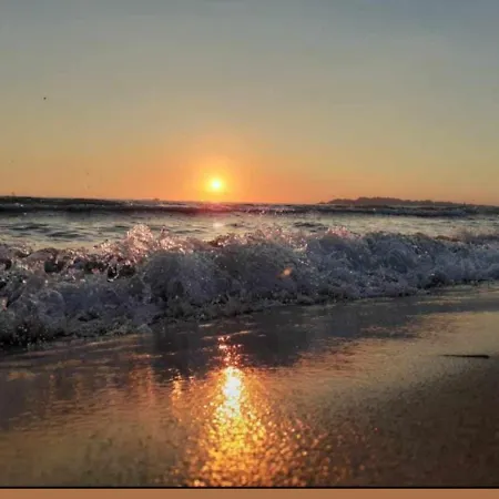 מלון Miami גולם